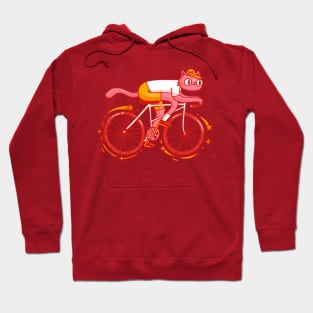 Cycling Cat Hoodie